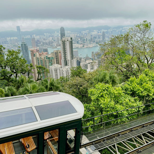 🇭🇰 Day Trip to Hong Kong (Everything within 12 hours!)