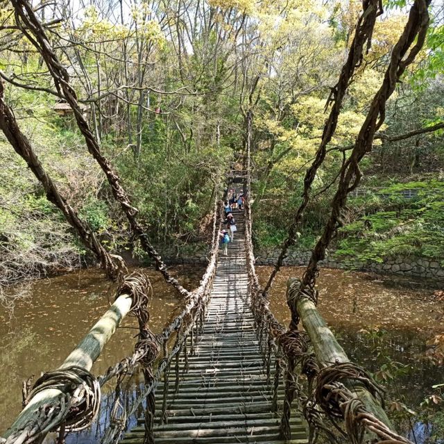 四國香川必去景點-戶外博物館「四國村」