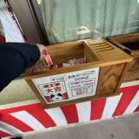 🦁沖繩｜佇立懸崖上洗滌身心靈的⛩️「波上宮」