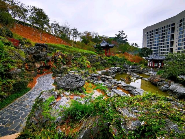 玉龍公園