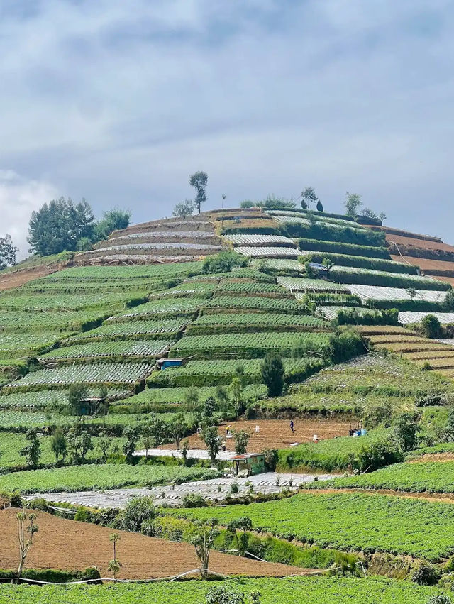 Dieng Plateau