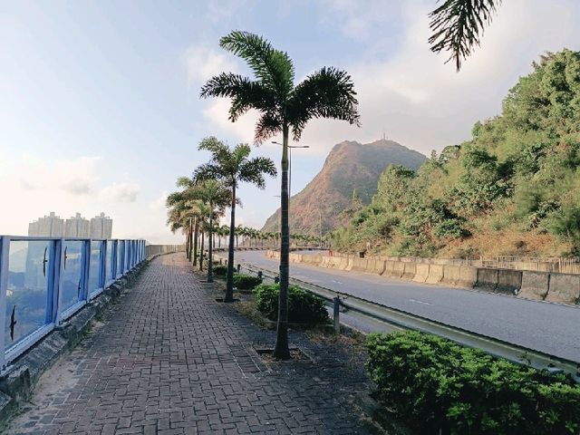 遊香港：觀塘山上安達臣發展區景色