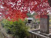 A Symphony of Colors —  The Nison-in Temple of Arashiyama