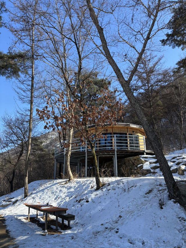 아름다운 설경과 동물들을 만날 수 있는 춘천 목장🐑