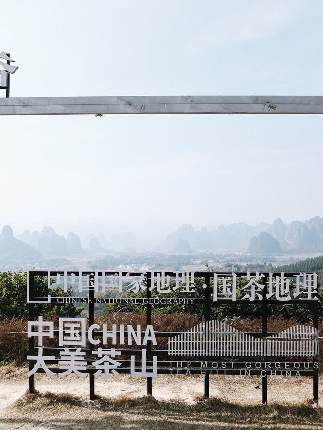 香港出發2天1夜｜英德西茶園豪華露營🏕️