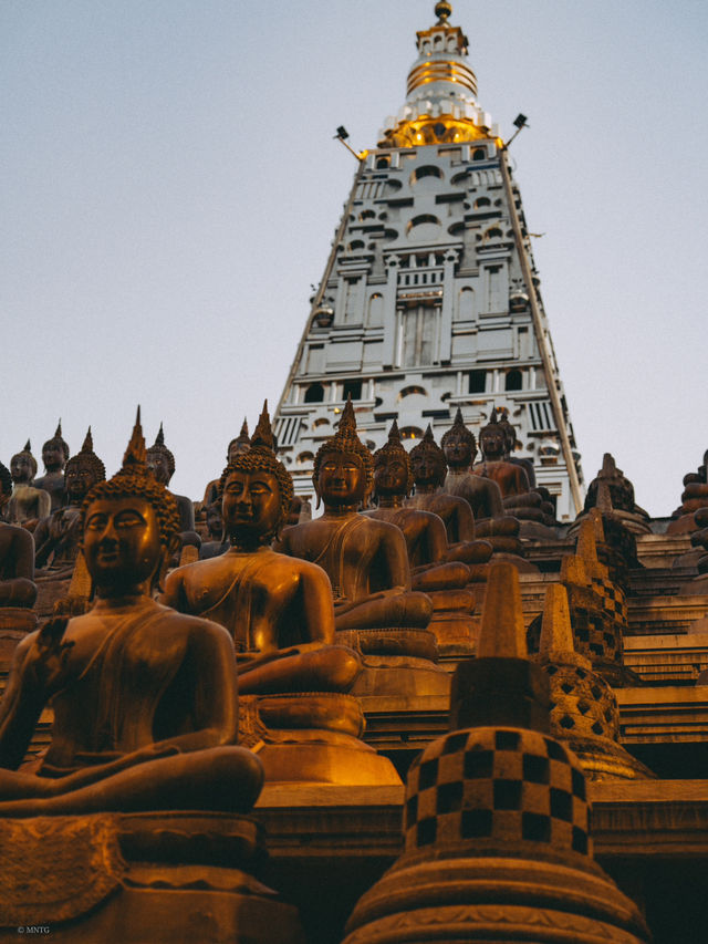A Day on the Streets of Colombo: Color, Chaos, and Conversations