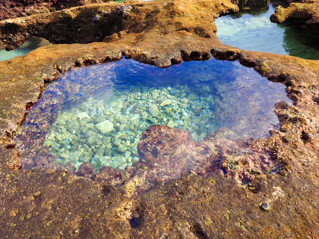 【鹿児島県】自然の絶景に出会う in奄美大島