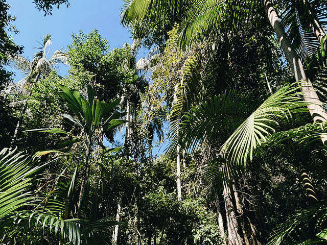 神秘的な滝と熱帯雨林に癒される✨🌿タンボリーン国立公園