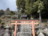 不自駕也能遊水上鳥居～白鬚神社