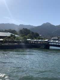 Deer-ly Loved Miyajima: A Day Trip to Remember! 
