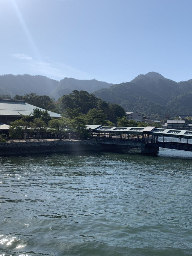 Deer-ly Loved Miyajima: A Day Trip to Remember! 