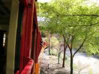 SAGANO ROMANTIC TRAIN