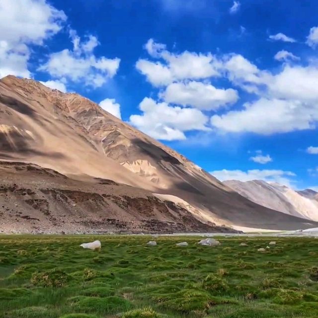 Laddakh Valley 