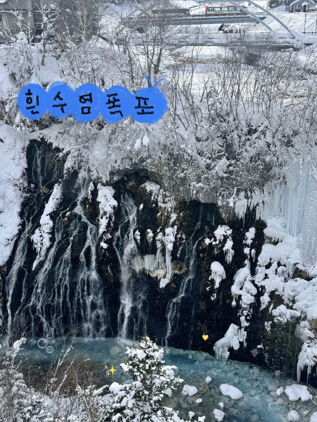 비에이 필수 여행지를 알려드려요!