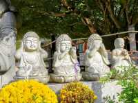 釜山長安寺，山林溪谷中的千年古剎