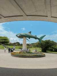 沖繩必去景點🐳美麗海水族館🐬🐠