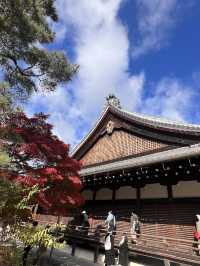 14th Century Garden in the Tenryu-ji Temple in Arashiyama
