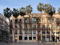 Do you feel a tropical vibe from Malaga too? Or it’s just me?