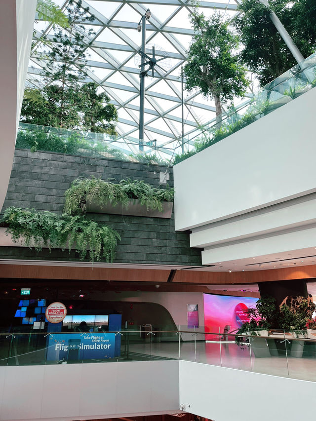 “Jewel Changi: Nature Meets Architecture in a Green Paradise”