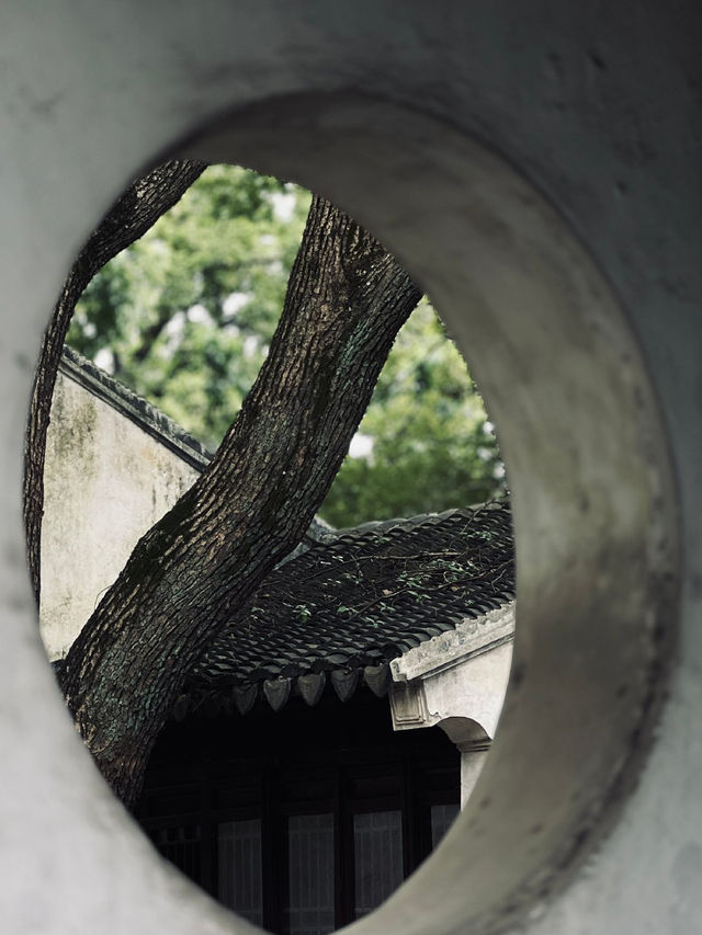 🇨🇳 Discover Suzhou: Gardens, History, and Culture Await