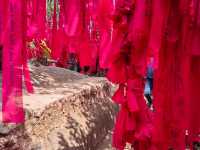   "ผ้าแดง" เขาคิชฌกูฏ  