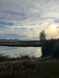 🌿 경남 함안 1박 2일 여행 코스 🏞️