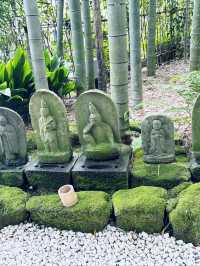 【神奈川県　鎌倉市の禅寺　報国寺で美しい苔の庭と竹林を歩みお抹茶を一服】 