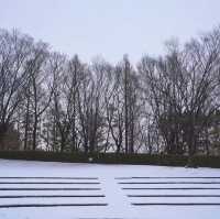文來公園：冰雪童話世界 ❄️🏞️