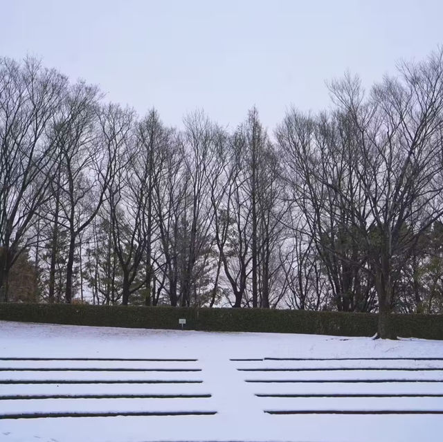 文來公園：冰雪童話世界 ❄️🏞️