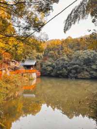 Fushimi Inari "The Thousand Gates"