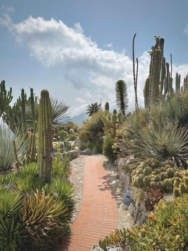 Le Jardin Exotique: A Hidden Botanical Gem in Nice