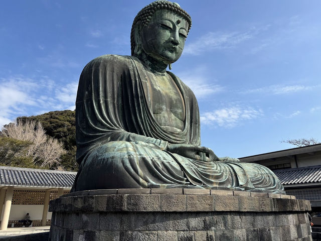 みんな生涯に一回は行く‼️ 【鎌倉大仏高徳院】
