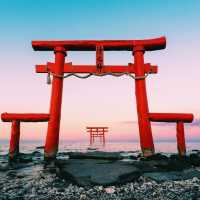 海に浮かぶ幻想的な鳥居⛩️🌊 干潮時には歩いて渡れる！