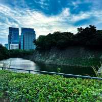 【東京】ランナーの聖地🏃‍♂️‍➡️と散歩に最適な5km