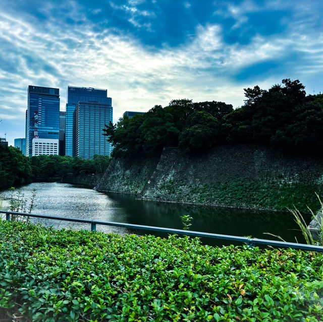 【東京】ランナーの聖地🏃‍♂️‍➡️と散歩に最適な5km