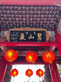 碧山巖櫻花步道賞櫻美景