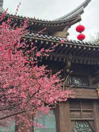 [Shanghai] 7 สิ่งที่ต้องรู้ก่อนไป จะได้ไม่พลาด!