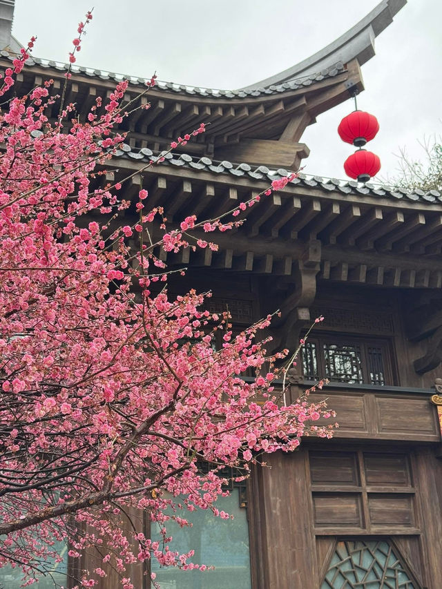 [Shanghai] 7 สิ่งที่ต้องรู้ก่อนไป จะได้ไม่พลาด!