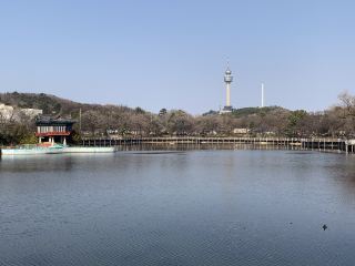 Healing Walks in Daegu: 5 Hidden Gems Recommended!