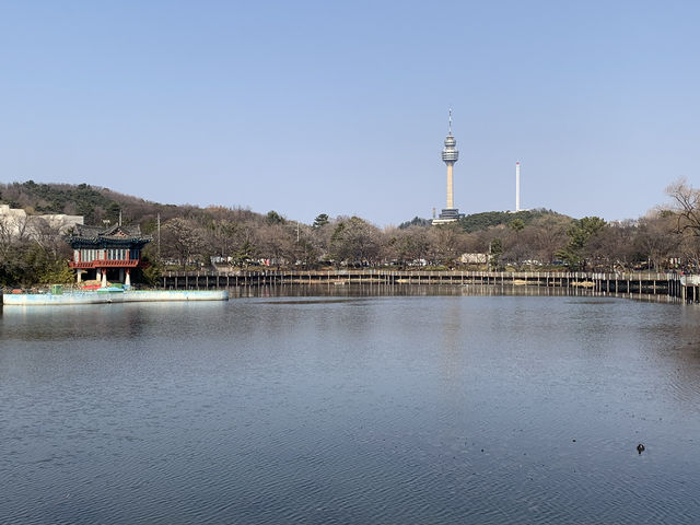 "대구에서 힐링 산책, 숨은 보석 5곳 추천!"