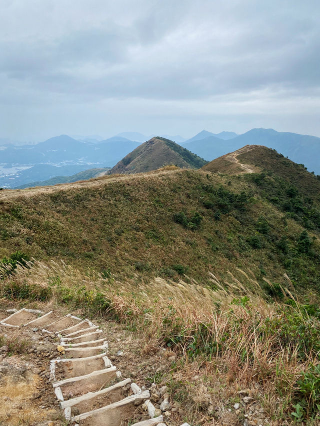 彎曲山⛰️，一覽西貢全景的麥理浩徑四段路線