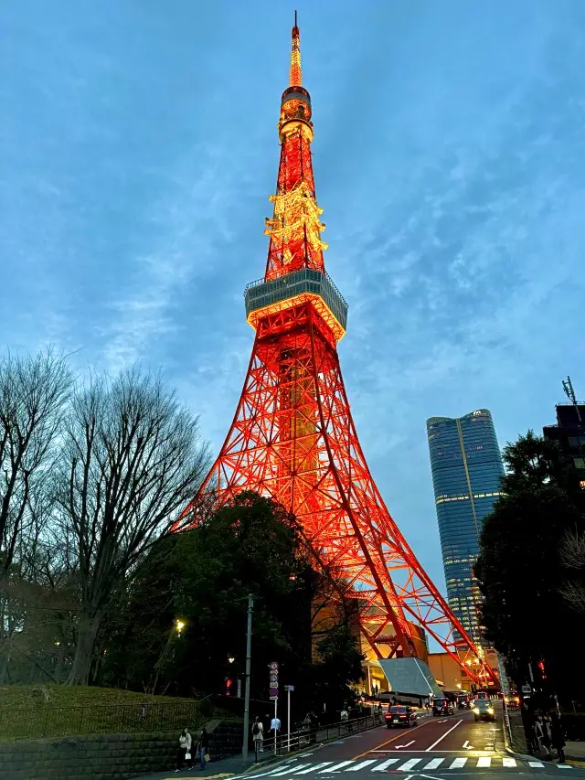 東京一日行程 上野動物園東京鐵塔順便之旅