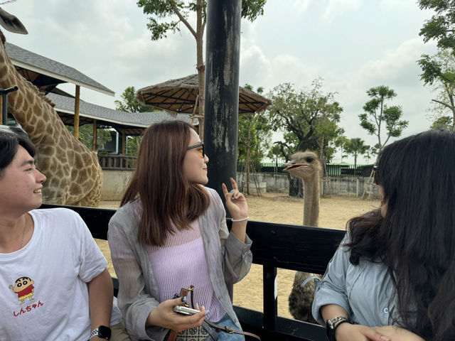 🦁 華勒比野生動物園 – 近距離接觸澳洲野生動物！ 🇦🇺✨ 