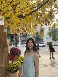 🌸 Spring in Ho Chi Minh City