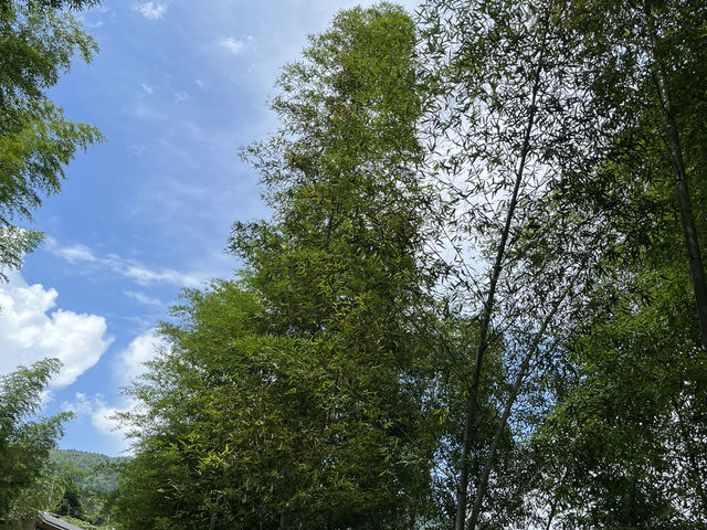 桂林龍脊梯田：綠梯田 × 藍天空，超美的畫面！