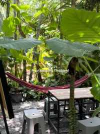คาเฟ่กลางสวน บรรยากาศร่มรื่นที่ ในดงบอน คาเฟ่