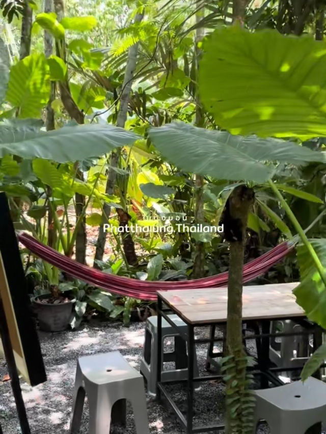 คาเฟ่กลางสวน บรรยากาศร่มรื่นที่ ในดงบอน คาเฟ่