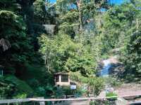 Cameron Valley Tea: Perfect Spring Spot