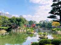 濃縮廣島四季美景，楓紅如畫的縮景園
