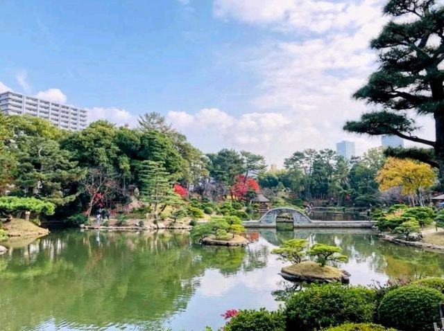 濃縮廣島四季美景，楓紅如畫的縮景園